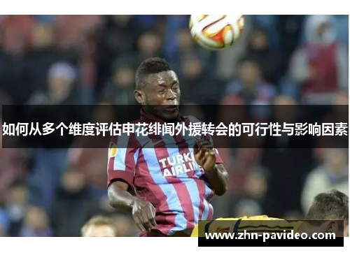 如何从多个维度评估申花绯闻外援转会的可行性与影响因素