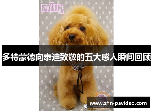 多特蒙德向泰迪致敬的五大感人瞬间回顾