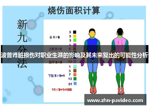 波普肾脏损伤对职业生涯的影响及其未来复出的可能性分析