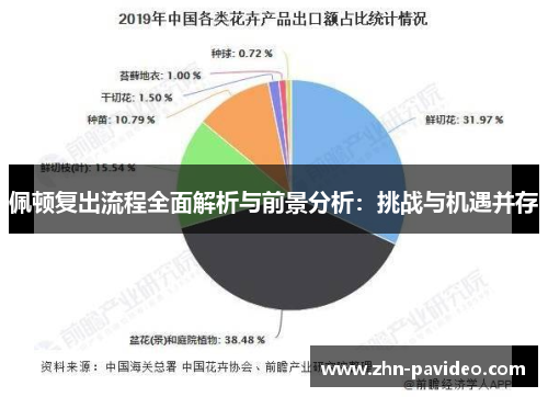 佩顿复出流程全面解析与前景分析：挑战与机遇并存