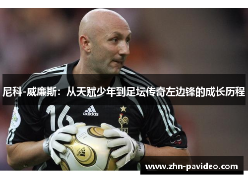 尼科-威廉斯：从天赋少年到足坛传奇左边锋的成长历程