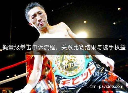 蝇量级拳击申诉流程，关系比赛结果与选手权益